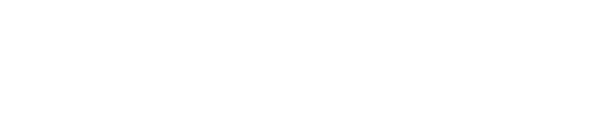 拉斯维加斯网站网站标识